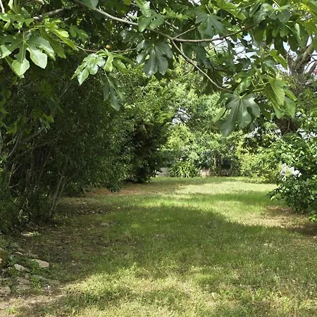 Maison 2 Avec Jardin Proche Plage&port * キブロン